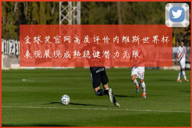 金球奖官网高度评价内维斯世界杯表现展现成熟稳健潜力无限